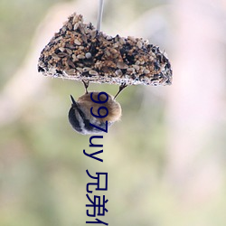 997uy 兄弟们不用谢
