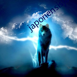 japonensisjava俄罗