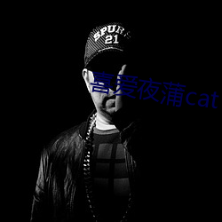 喜爱夜蒲(pú)cat