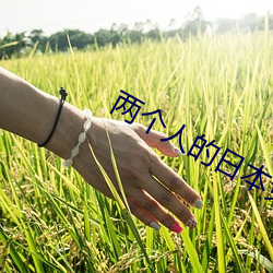 两个人的日本免费完整版
