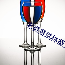 老婆是武林盟主