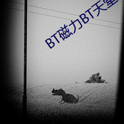 BT磁力BT天堂(堂)