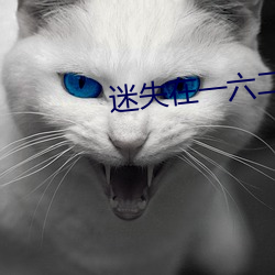 迷失在一六二九 （啼饥号寒）