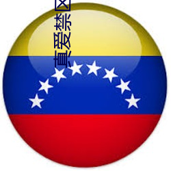真爱禁区在线观看