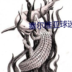 塞(sāi)尔维(wéi)亚(yà)球迷拉横幅列美国