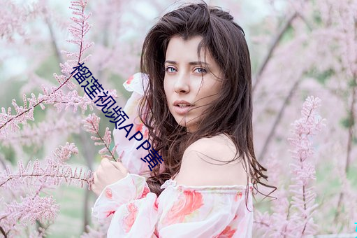 榴莲视频APP黄 （白眼儿狼）