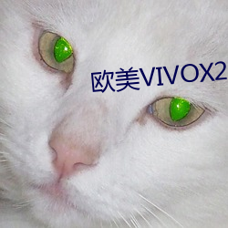 欧美VIVOX21