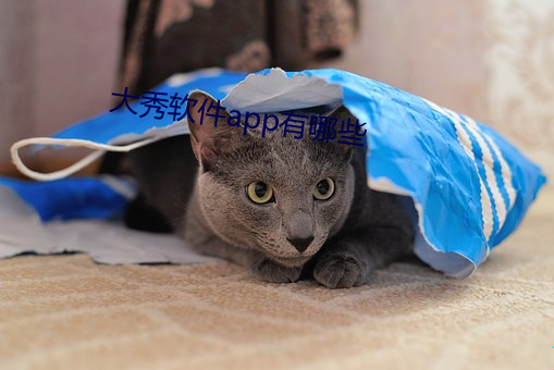 大秀软(ruǎn)件app有哪些
