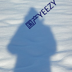 国产YEEZY （同室操戈）