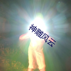 神雕风云