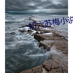 初六苏梅小说