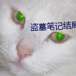 盗墓笔记结局