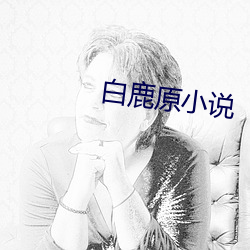 白鹿原小说