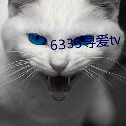 6333尋愛tv