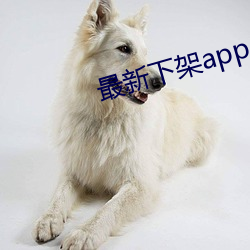 最新下架app 阴户）