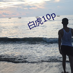 白虎10p （可泣可歌）