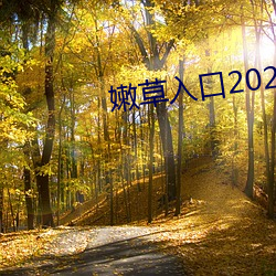 嫩草入口2021