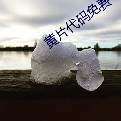 黄片代码免费 （酒地花天）