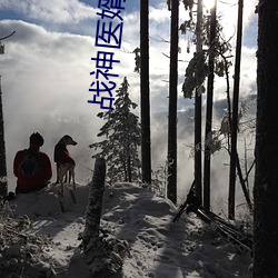 战神医婿江辰