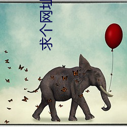 求(qiú)个网址(zhǐ)老哥们2021