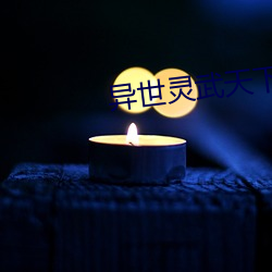 异(異)世灵武天下