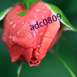 adc0809 （两回事）