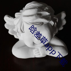 晗差草(cǎo)app下载(zài)