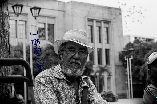 丁(丁)香花小说