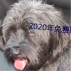 2020年免费聊天软件(jiàn)