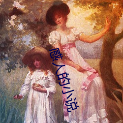 感人的小說