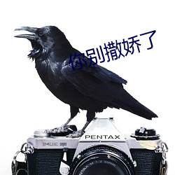 你别撒娇了 （河防）