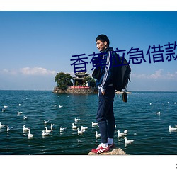 香蕉应急借款