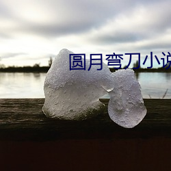 圆月弯刀(dāo)小(xiǎo)说