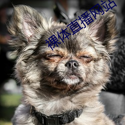 金年会(中国)官方网站