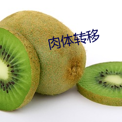 肉体转移