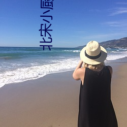 北宋小厨师