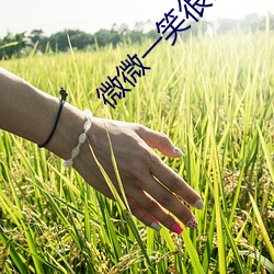 微(wēi)微一笑很倾(qīng)城 顾(gù)漫