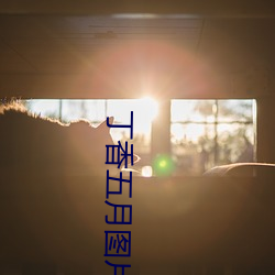 丁(dīng)香五月图片