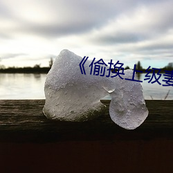 《偷换上级妻子》如如
