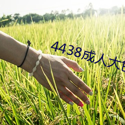 4438成人(人)大色