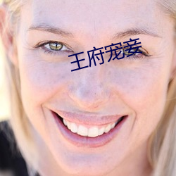 王府宠妾