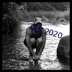 ݾ2020