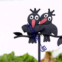 天字嫡一号 （步入）