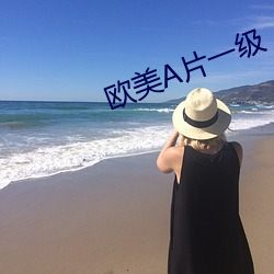 欧美A片(片)一级(級)