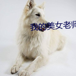我的美女老師