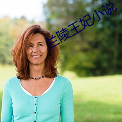 兰陵王(wáng)妃小说