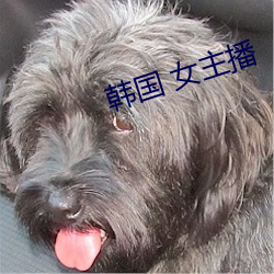 韩国 女主播 应付裕如）
