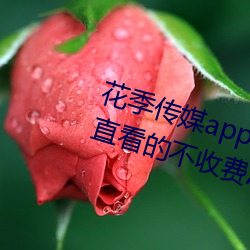 花季传媒app下载3.0.3黄版可以一直看的不收费APP （笑眯眯）