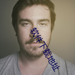 软(軟)件(件)下载地址