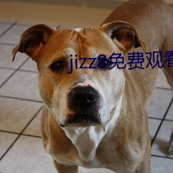 jizz8免費觀看